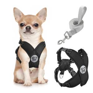 lot 2165 image: Pawaboo Dog Harness with Leash Set, X-Frame No Pull Pet Harness, Adjustable Choke Free Dog Vest Harness for Small Medium Dogs & Puppies, Breathable Puppy Vest with Leash for Walking Outing (S, Black)
