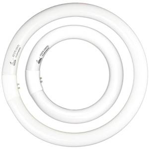 lot 2208 image: FC8T9 22W and FC12T9 32W Daylight Set , Round Fluorescent Bulb 8 inch T9 22 Watts & Circular Light Bulbs 12 inch 32 Watts kit, Circline Kitchen and Bath Fluorescent Lamp, CRI 80, DL 6500K, G10q Prong