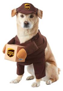 lot 2899 image: California Costumes UPS Dog Costume - M