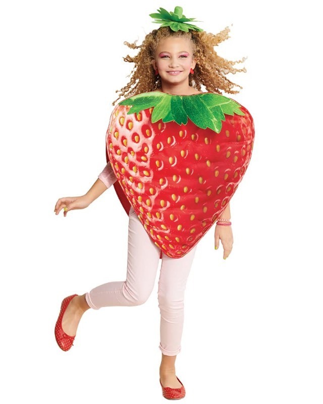 lot 6553139 image: Seasons Halloween Costume Children Strawberry Costume Fruit Costume (3-5T,18W X 21L), Red, Small