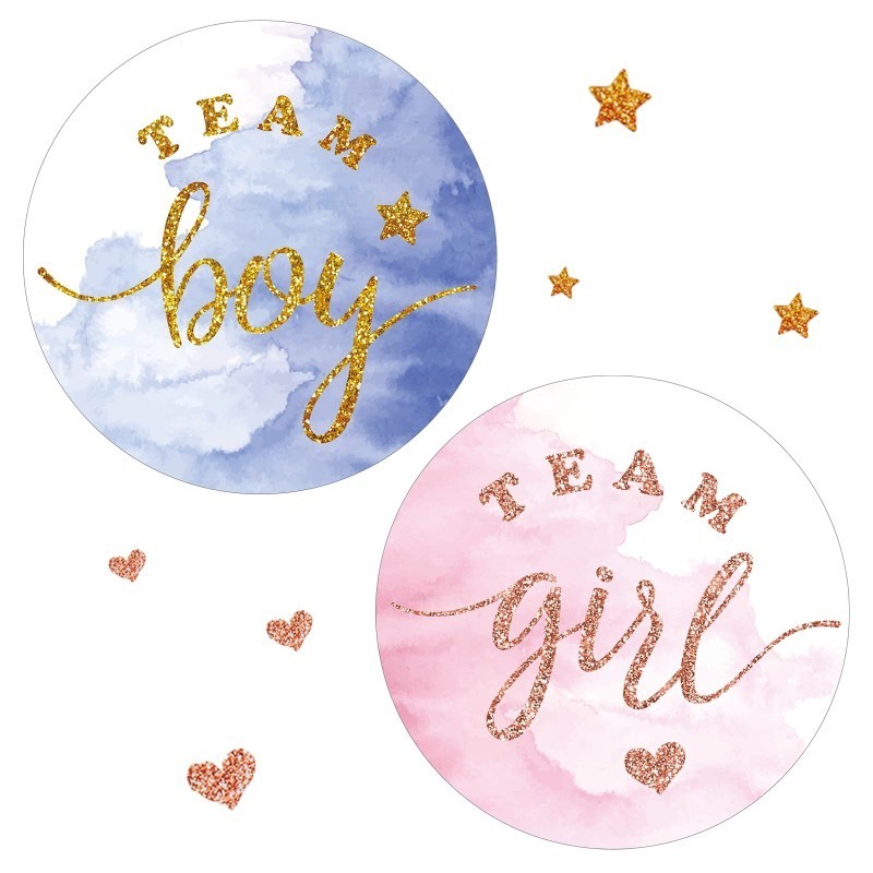 lot 6553542 image: 120 Pcs Gender Reveal Stickers, 2 Inch Gold Glitter Team Girl and Boy, Bee Team He and She Baby Shower Labels Sticker, Pink and Blue Stickers for Gender Reveal Party Games Supplies (Boy and Girl)