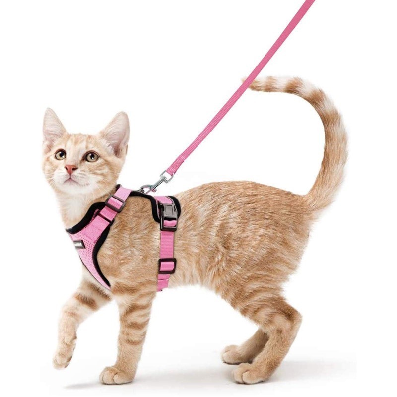 lot 6555223 image: rabbitgoo Cat Harness and Leash for Walking, Escape Proof Soft Adjustable Vest Harnesses for Cats, Easy Control Breathable Reflective Strips Jacket, Pink, S