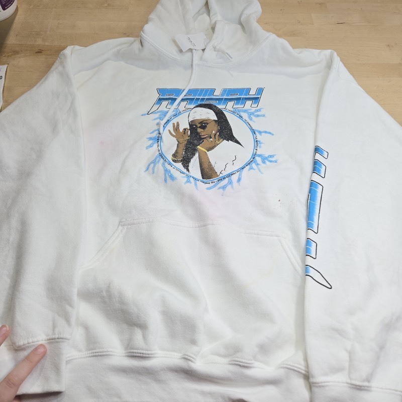 lot 6555254 image: Rue21 Unisex Oversized Solid Color Pulllover Sweatshirt Aaliyah Primcess of R&B Print Medium