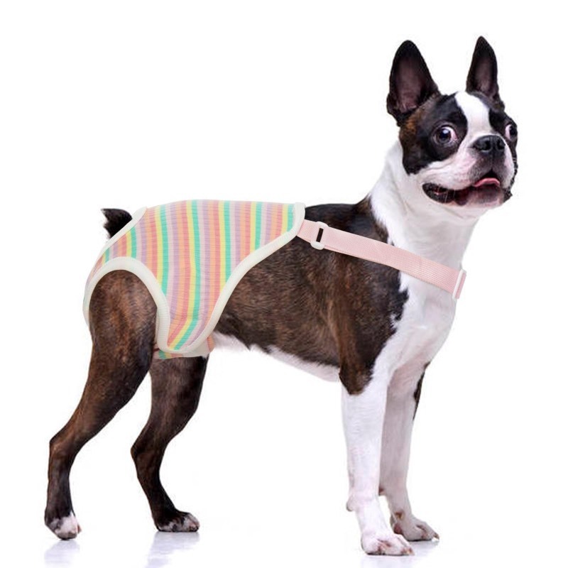 lot 6556012 image: QBLEEV Dog Diapers Female Washable Sanitary Pantie with Adjustable Suspender, Reusable Doggie Diaper Puppy Diapers Male Cute Pet Period Panties for Dogs in Heat, Dog Underwear for French Bulldog XL