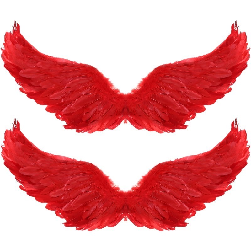 lot 6561367 image: Jenaai 2 Pieces Halloween Angel Wings Feather Wings with Elastic Straps Cosplay Wings for Halloween Costume Party Women(31.5 x 15.75 Inches,Red)