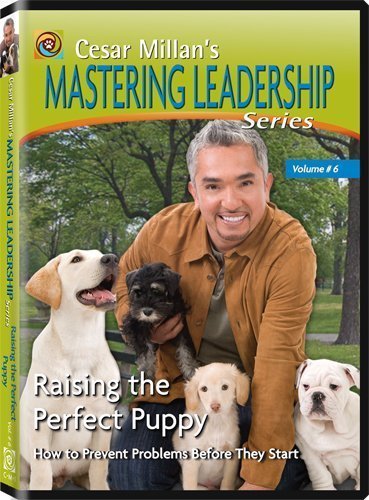 lot 6561513 image: Cesar Millans Mastering Leadership Series Volume 6 Raising the Perfect Puppy