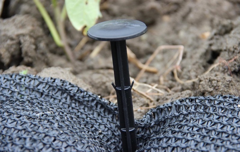 lot 124 image: 50 New KINGLAKE 30 Pcs 4.3 inch Sturdy Plastic Stakes Anchors Rustproof for Holding Down Landscape Fabric Lawn Edging, Tents, Game Nets and Rain Tarps, Black