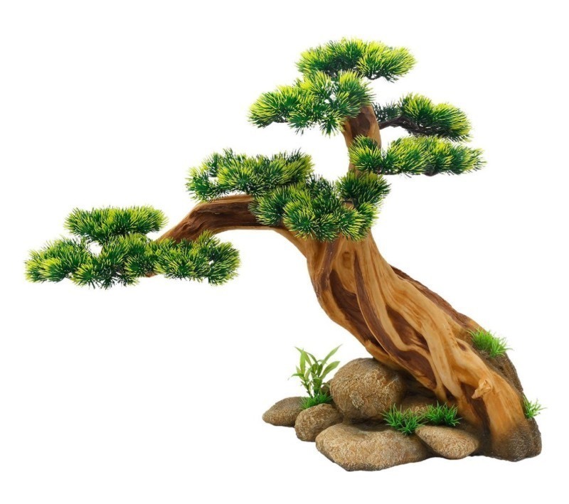 lot 137 image: New Underwater Treasure Bonsai Paradise AUTMT349