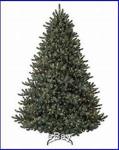 lot 18277 image: balsam hill classic blue spruce 6.5 tree with candlelight led light
