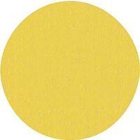 lot 56605 image: Norton 3307394 Sanding Disc 9 in 220 Grit