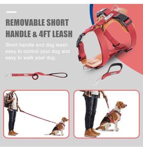lot 2018 image: Elegant Dog Harness and Leash Set, Leather No Pull Dog Harness with Easy Control Removable Handle, Adjustable Pet Vest Harness for All Breeds, No-Choke Pet Oxford Vest for Small Medium Dogs (Red, S)