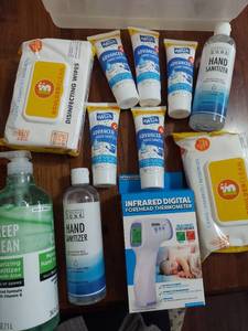 lot 6018 image: hand sanitizer, disinfecting wipes, infrared thermometer