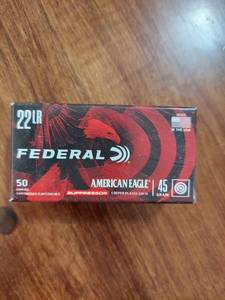 lot 6042 image: 22LR ammo