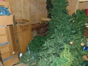 lot 1281 image: Lot of Christmas trees and greenery