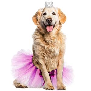 lot 3397 image: Dog Tutu Dress Tutu Skirt Dog Dress Cute Pet Costume for Puppy Dog Birthday Party Wedding Photo Prop Costume (Pink Purple,X-Large)