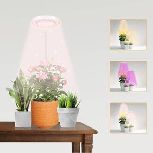 lot 3434 image: GooingTop LED Grow Light, Halo Plant Lamp for Indoor Plants Growing, White Low Light for Succulents Mini Small Plants Growth,Upgrade Timer 481218 Hrs & Variable Spectrum