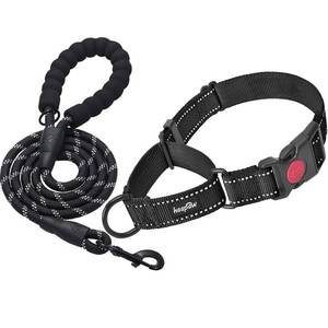 lot 3464 image: haapaw Martingale Dog Collar with Quick Release Buckle Reflective Dog Training Collars for Small Medium Large Dogs