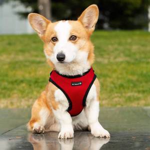 lot 3542 image: Mr. Peanuts PupTrek Small DogCat Soft Mesh Step in Harness Vest (Extra Small, Red)