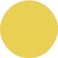 lot 56605 image: Norton 3307394 Sanding Disc 9 in 220 Grit