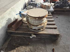 lot 45273 image: Industrial Check Valve Assembly with Manual Override