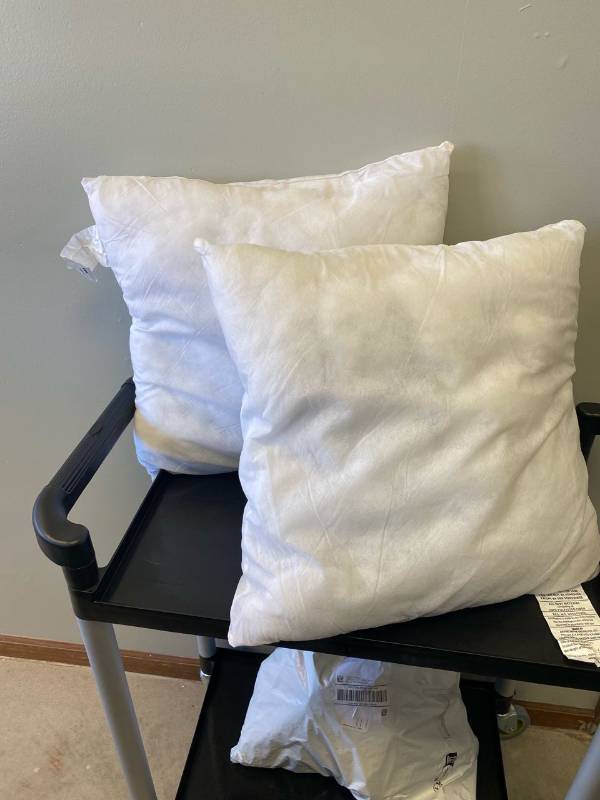 lot 2551 image: 2 Pillow Forms 20x20 Pillows - Great Condition