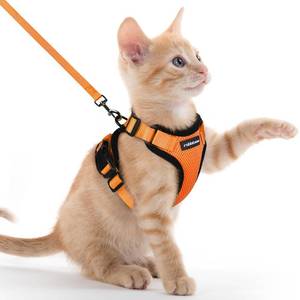 lot 12013 image: rabbitgoo Cat Harness and Leash for Walking, Escape Proof Soft Adjustable Vest Harnesses for Cats, Easy Control Breathable Reflective Strips Jacket, Orange, XXS