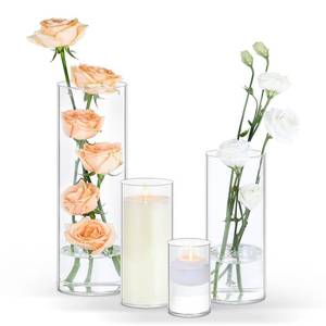 lot 12026 image: TBWIND 12 Pack Glass Cylinder Vases 4, 8, 12 Inch Tall Clear Vases for Centerpieces Wedding Decoration, Clear Glass Flower Vases Hurricane Floating Candle Holder for Party Table Home Decor