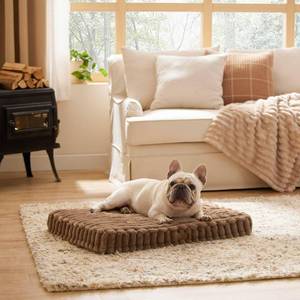 lot 12055 image: Bedsure Orthopedic Dog Bed for Medium Dogs, Cute Waterproof Egg Foam Dog Beds with Removable Cover, Corduroy Fleece Comfort Furry Dog Mats for Indoor Dogs (30x20, Cream)