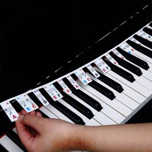 lot 12115 image: Piano Key Stickers for Beginners Kids 6188 Full-Size Keys Piano Keyboard Rake Notes Marker Overlay with Case (88 keys)