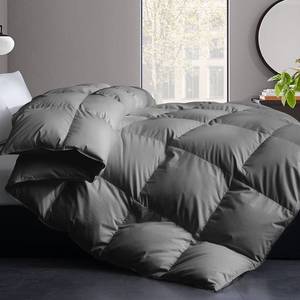 lot 14037 image: Cosybay Feather Comforter Filled with Feather & Down Fiber - All Season Grey Twin Size Duvet Insert- Luxurious Hotel Bedding Comforters with Cotton Cover - TwinTwin XL 68 x 90 Inch