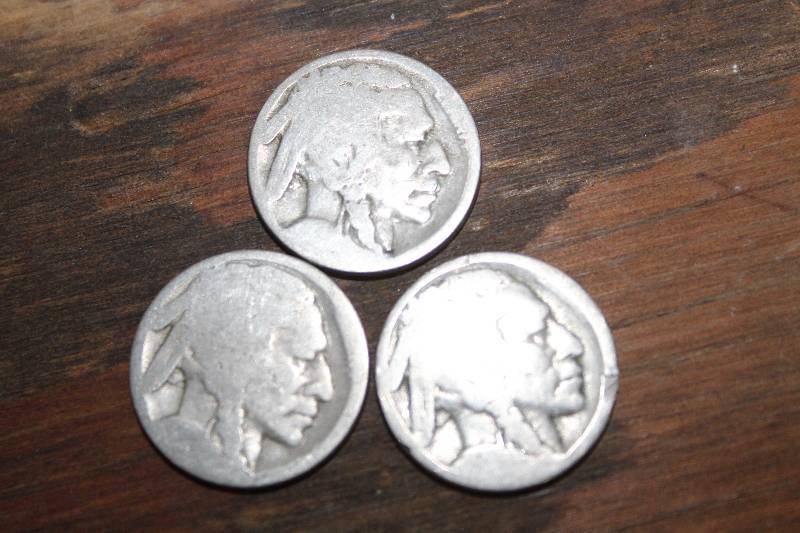 lot 7700 image: Lot of 3 Buffalo Nickels- Very Cool