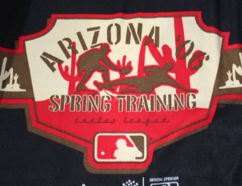lot 8227 image: Spring Training Baseball Stadium Blanket (Cactus League 06)