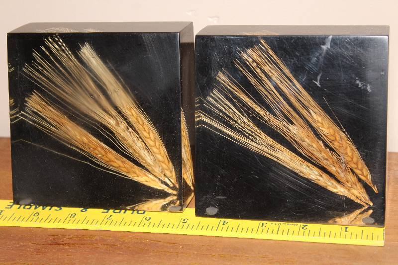 lot 5032 image: Wheat Shocks in Acrylic Paperweights - COOL - Kansas
