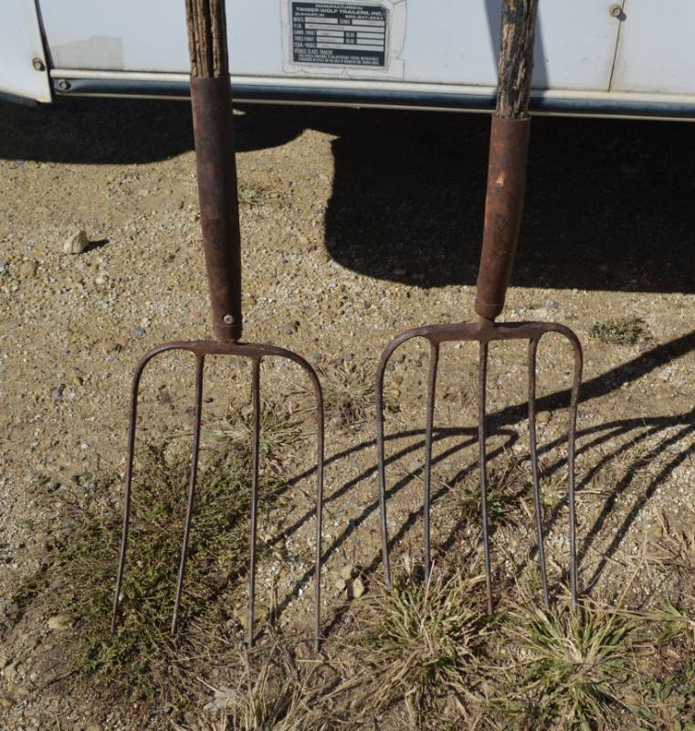 lot 3093 image: 2 pitch forks, both heads are loose