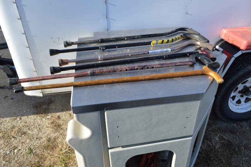 lot 3174 image: 6 canes