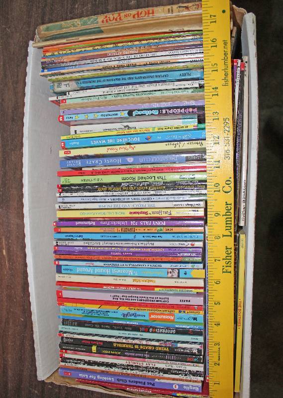 lot 8505 image: Lot of Youth Books