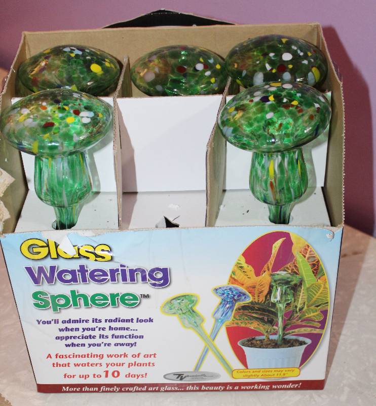lot 8638 image: 5 Glass Watering Spheres - Great for Plants