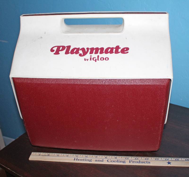 lot 8685 image: Igloo Playmate Cooler - Flip Top - This is the one