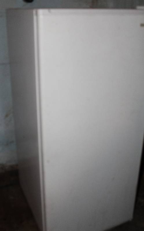lot 8697 image: Freezer - Small Apartment Sized Kenmore Upright Freezer