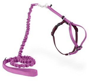 lot 7429748 image: PetSafe Come with Me Kitty Harness and Bungee Leash, Harness for Cats, Large, Dusty RoseBurgundy