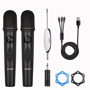 lot 7429911 image: Wireless Microphone, UHF Dual Cordless Dynamic Rechargeable Mic System, for Karaoke Singing, Wedding, DJ, Party, Speech, Church, Class Use, 200ft (HP-618)