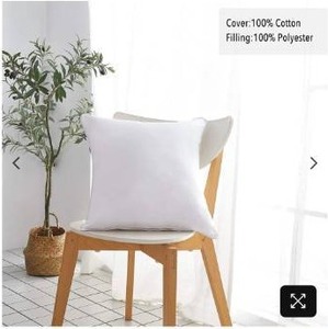 lot 43 image: Oubonun Throw Pillow Insert Square