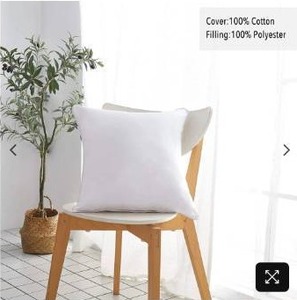 lot 44 image: Oubonun Throw Pillow Insert Square