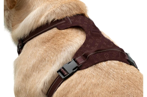 lot 56373 image: Dog Harness, No Pull Dog Harness Pet with 2 Leash Clips for LargeSmallMiddle Dogs (VV Pattern-Xs Size)
