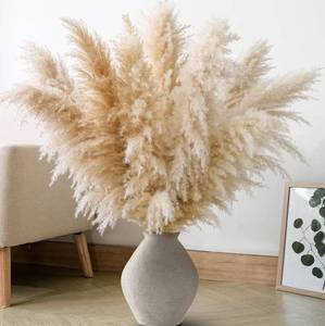 lot 1102 image: Natural Beige Pampas Grass Bundle