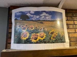 lot 300 image: Sunflower poster in plastic