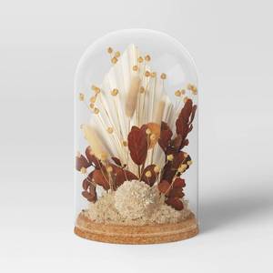 lot 3990 image: 10 Preserved Fall Floral Cloche Artificial Grass Brown - Threshold-SMALL CRACK IN GLASS, SEE PHOTOS