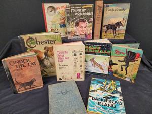 lot 152 image: Vintage Childrens Story Books
