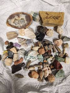 lot 486 image: Mineral, Rocks, Geode and Fossil Collection