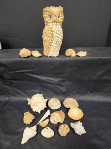 lot 497 image: Owl made of Shells and Other Asst Sea Shells